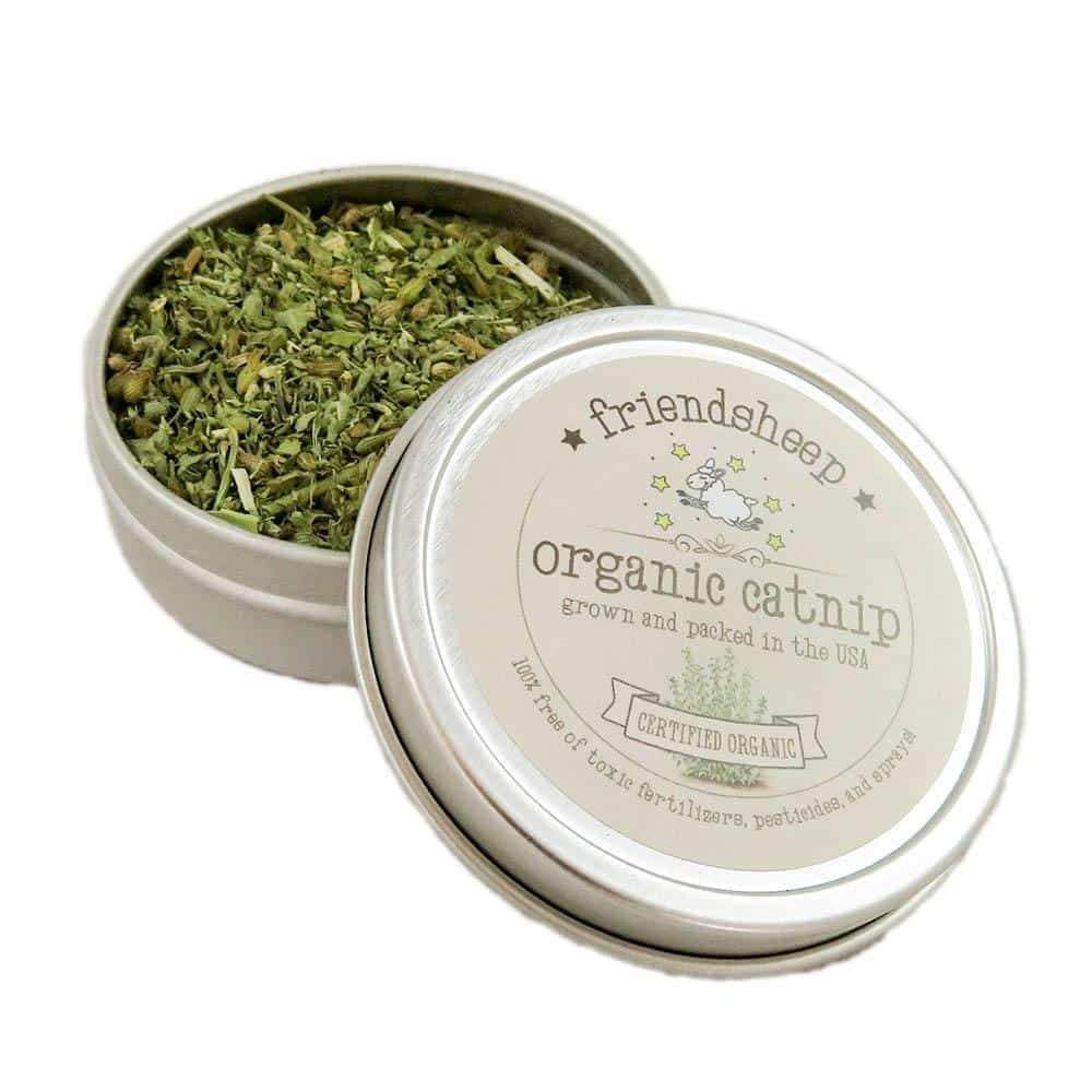 Organic catnip tin on white background, labeled USDA-certified and recyclable, perfect for energizing your cat naturally.