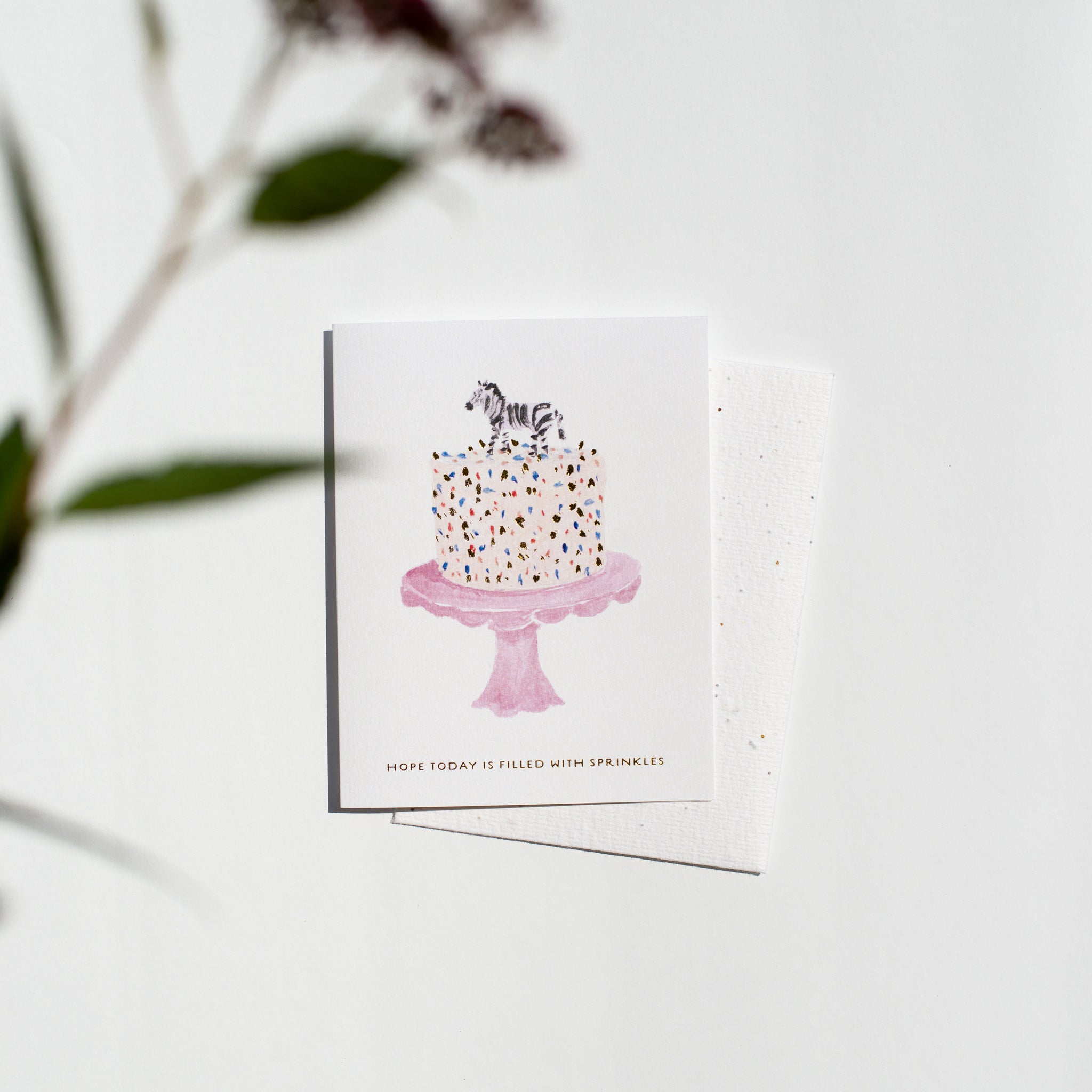 A greeting card featuring an illustrated zebra sitting atop a sprinkle-covered birthday cake. The message reads, “Hope today is filled with sprinkles.” Paired with a plantable wildflower seed envelope.