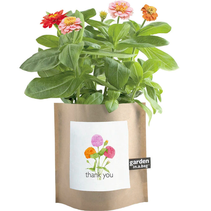 A plant with beautiful pink, orange, and red flowers grows in a brown paper "garden in a bag" pot. The pot features a white label with an illustration of the flowers and the words "thank you"