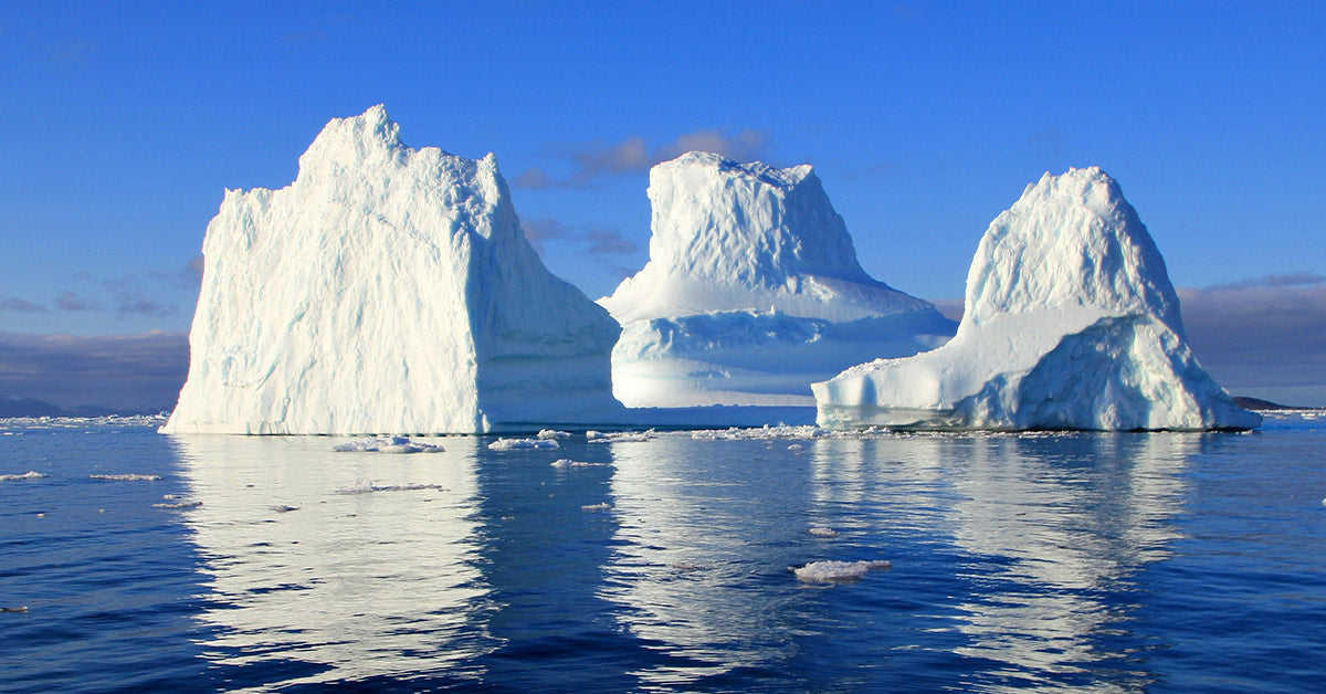 Video Footage Reveals How Ship Traffic Leaves Antarctic Bays Scraped and Silent