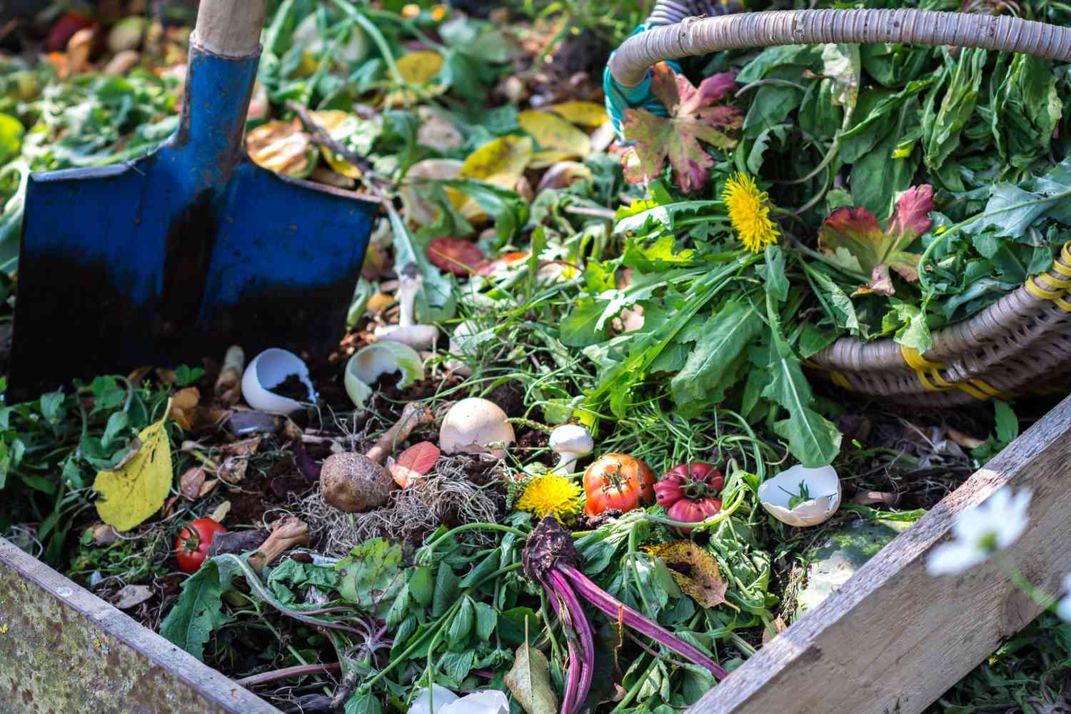 Is composting good for the ocean?