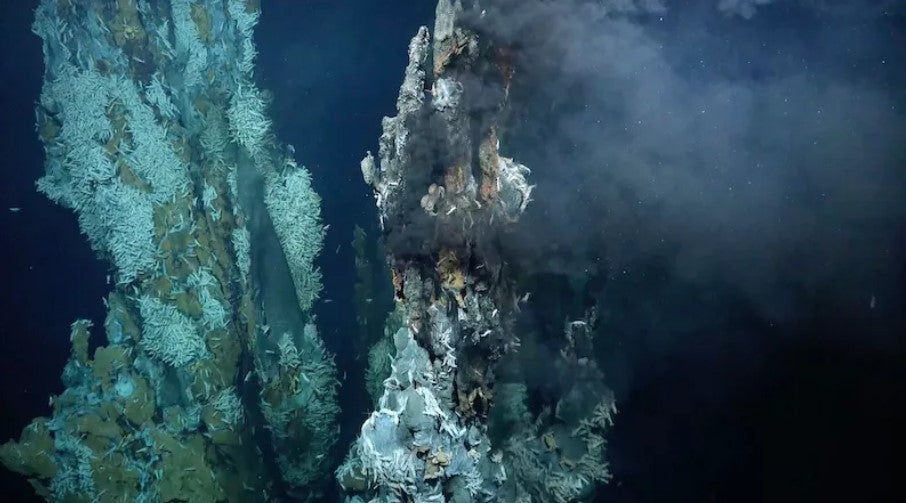 A Deep Sea Discovery of Hydrothermal Havens