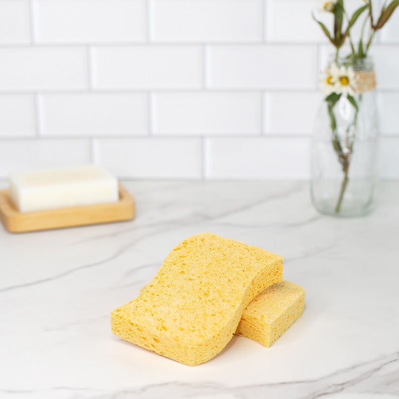 Introducing Our Biodegradable Kitchen Sponges