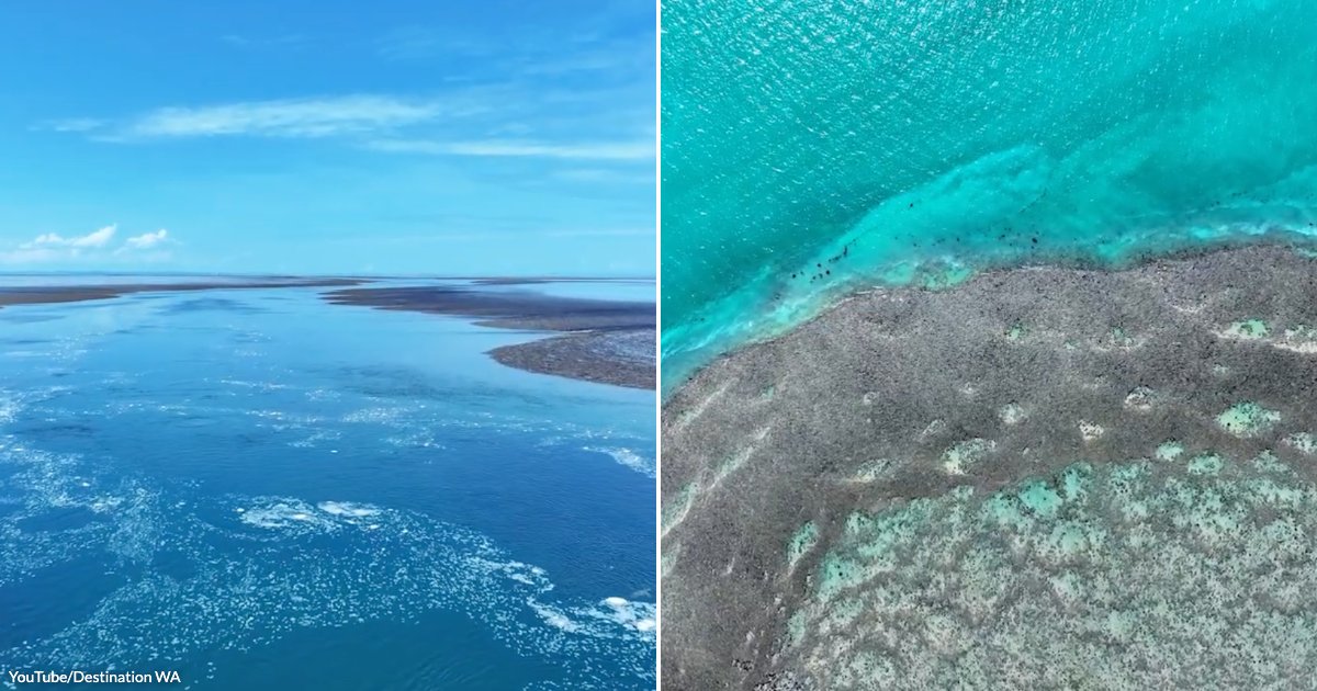 On the left, white foam rushes through a rocky coral reef channel; on the right, turquoise ocean meets an exposed coral flat from above.
