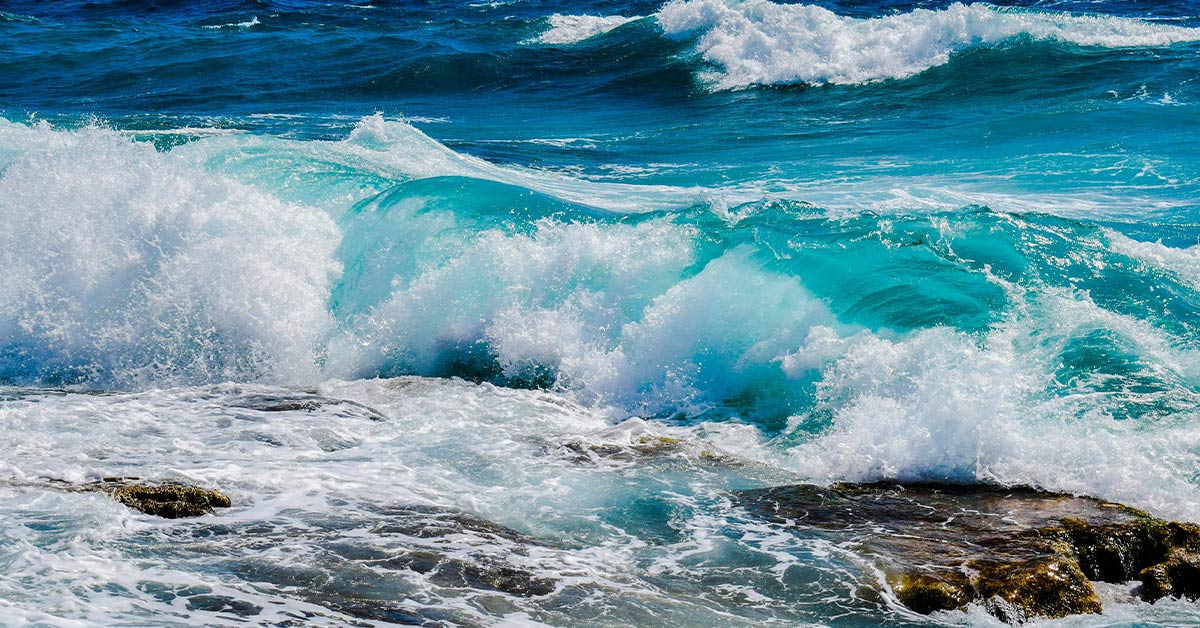 Ocean Acidity Is Rising And It's Turning The Ocean Into One Big Underwater Amplifier