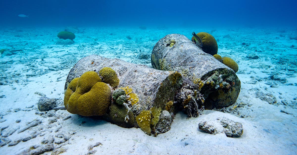 Ghostly Barrels Are Turning The Deep Into Dead Zones, But What Is In Them?
