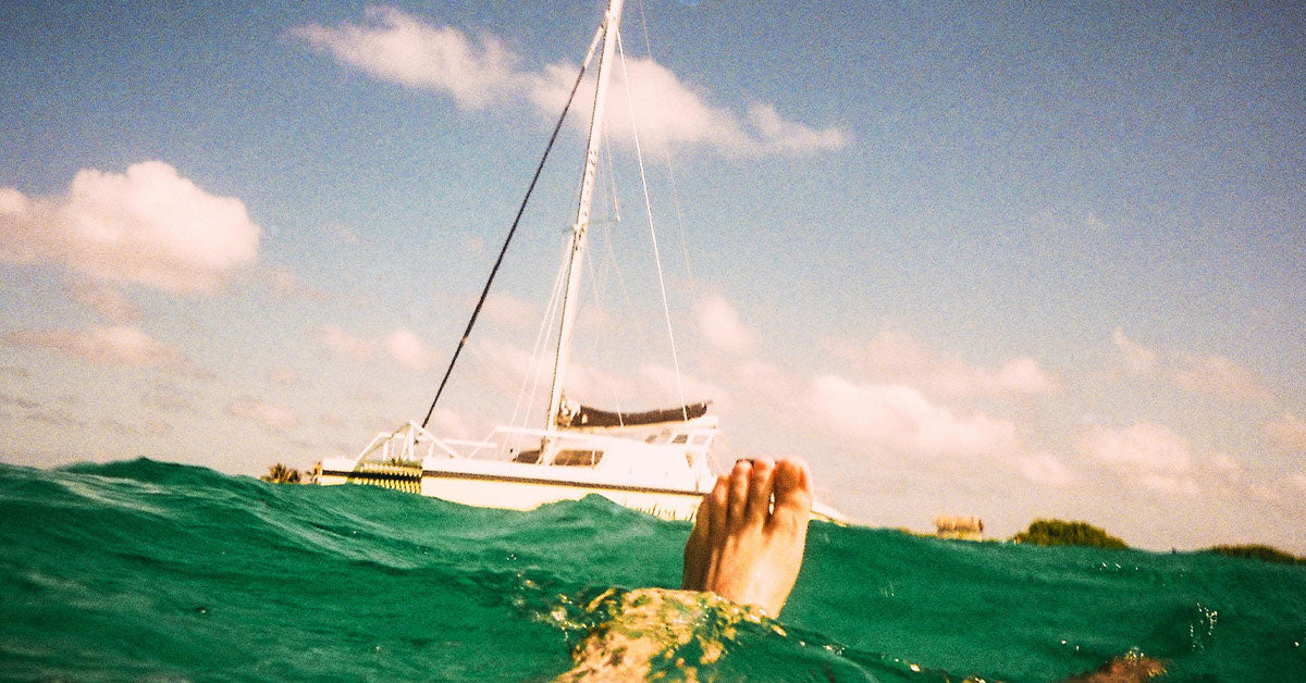 Climate Change Is Turning Half the Ocean Green as Ecosystems Shift