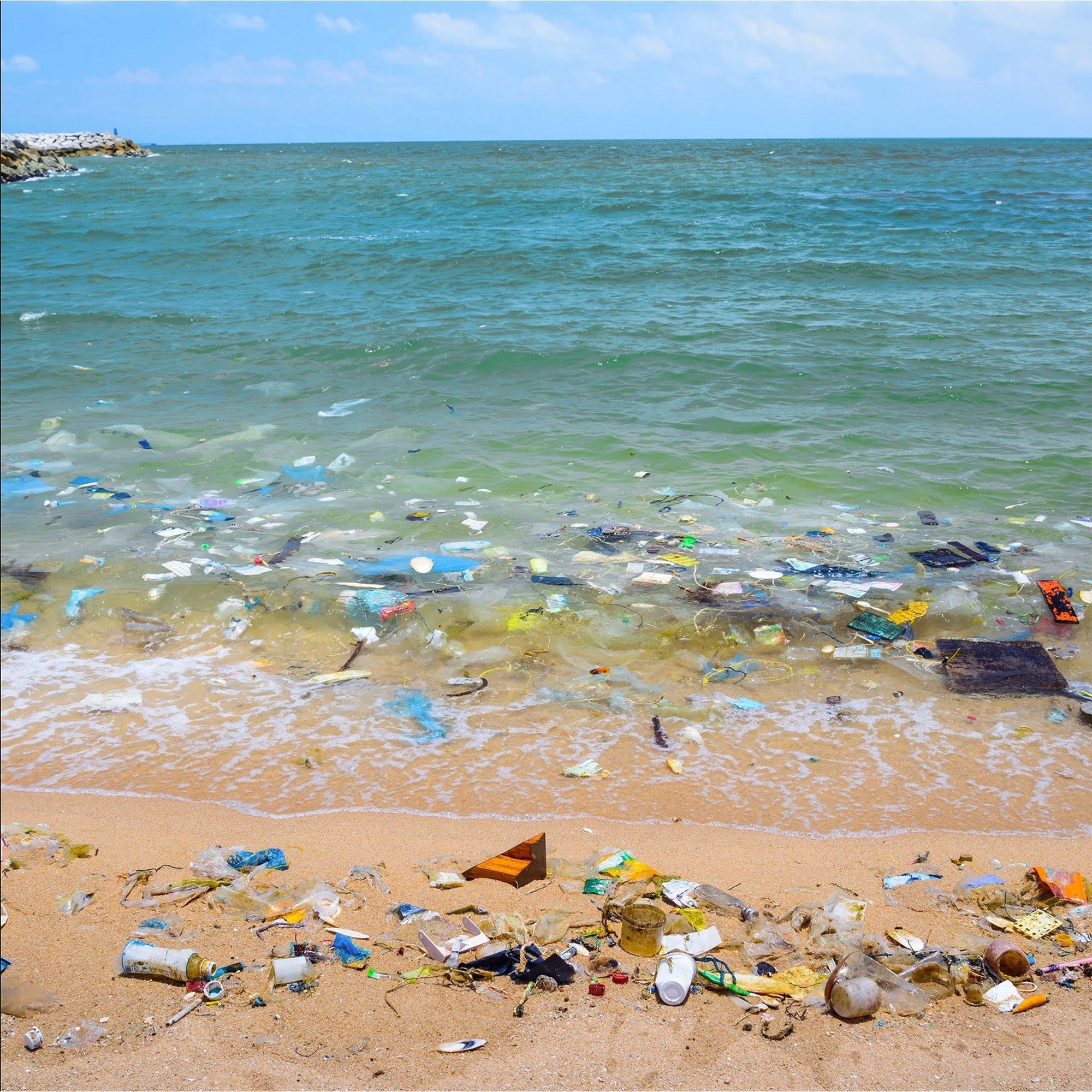 Help Save Our Oceans