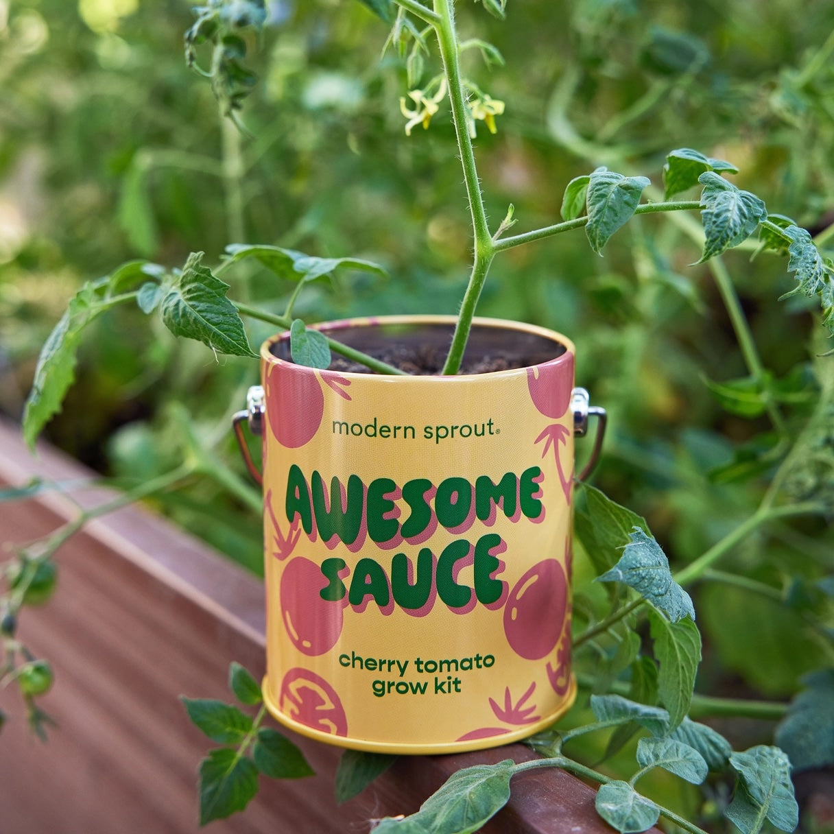 Organic Grow Tins