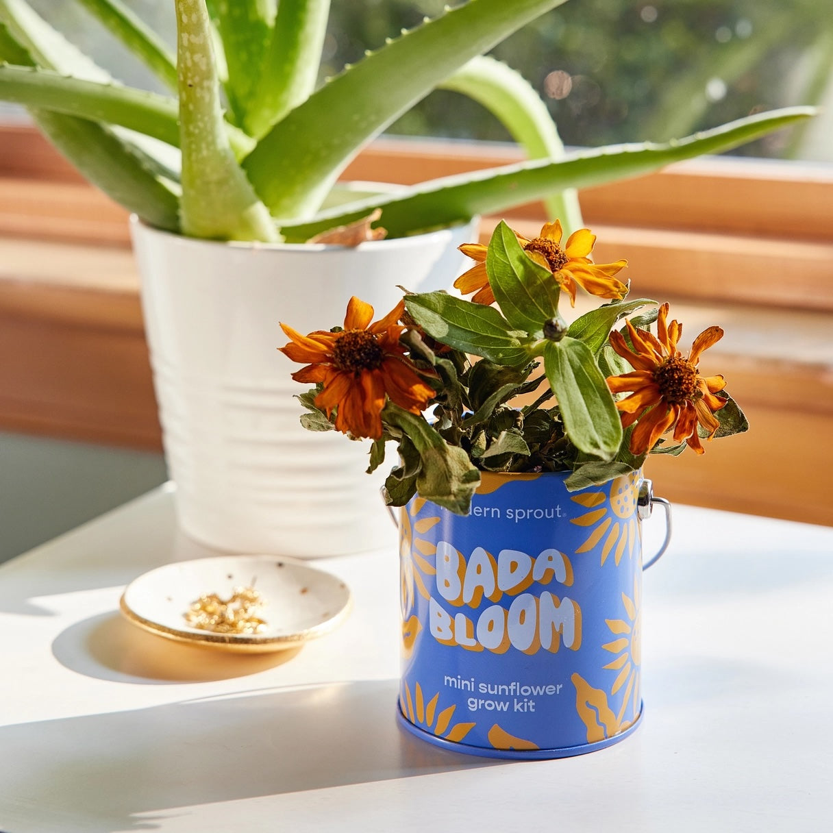 Organic Grow Tins