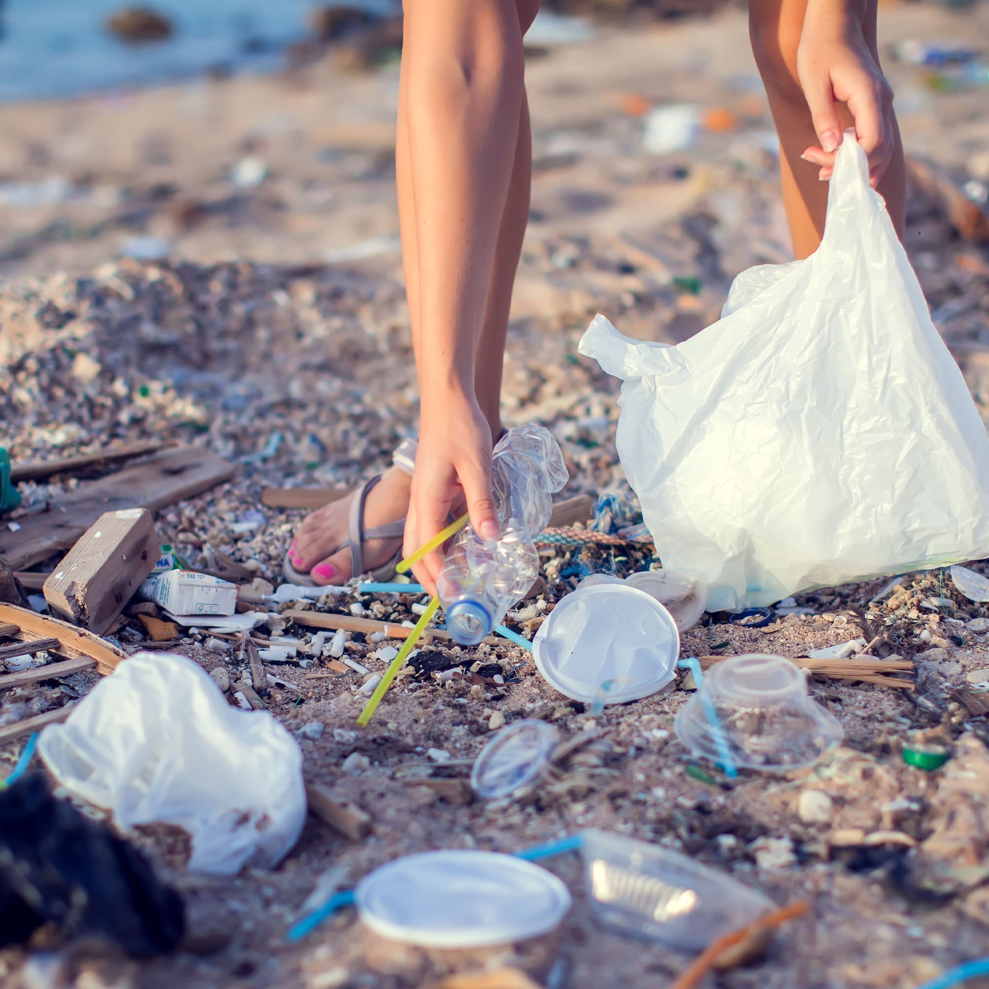Help Save Our Oceans