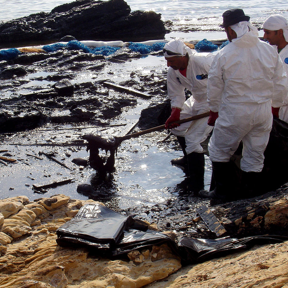 Federal Protections Gutted - Critically Endangered Species At Risk