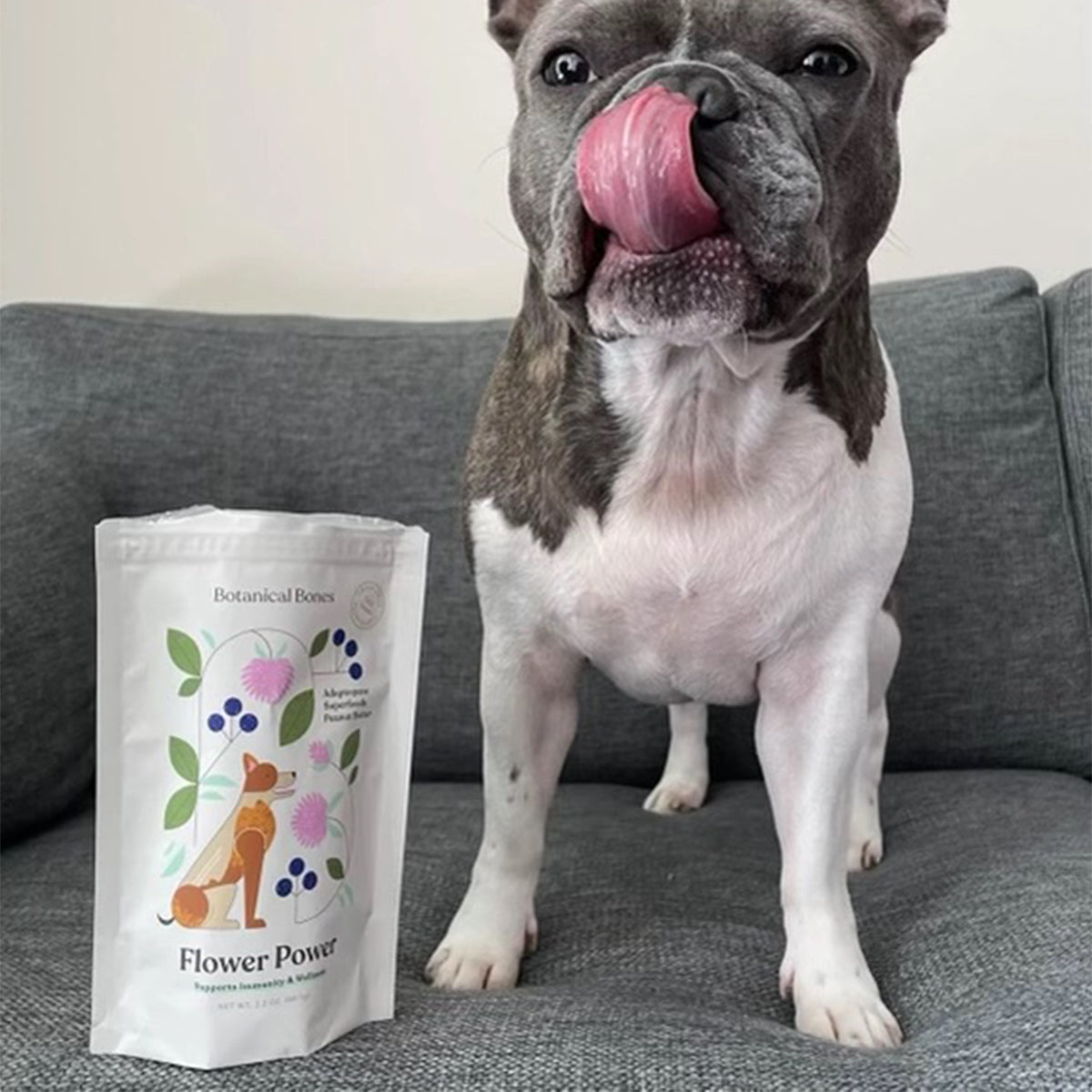 Dog sitting on a couch with a package of 'Flower Power' botanicals for pets.