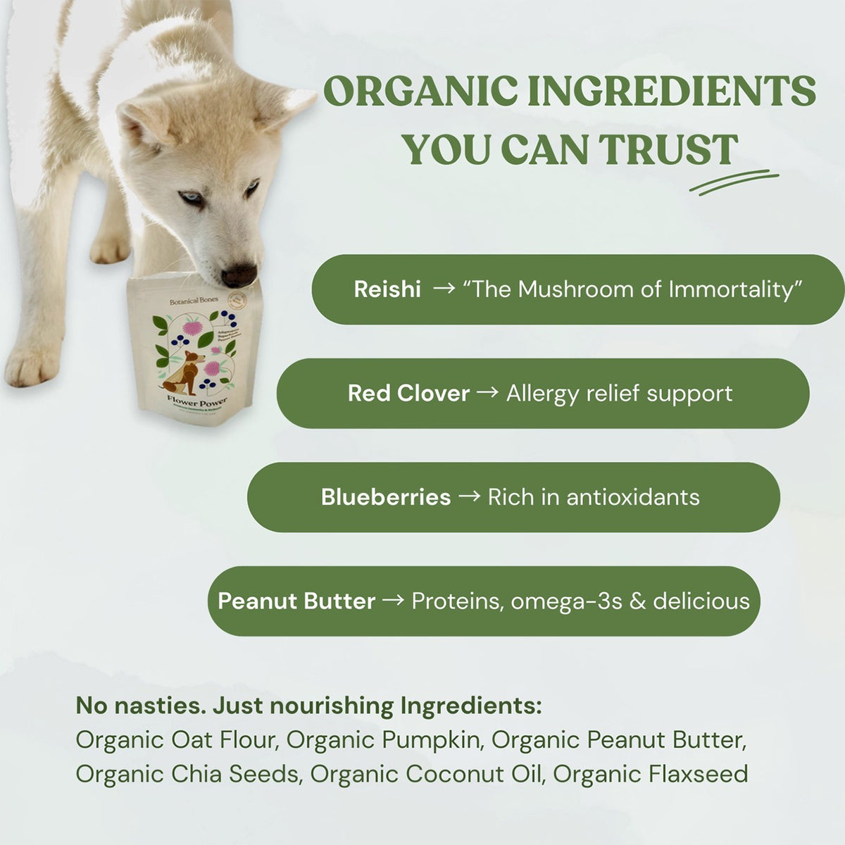 Dog with a bag of dog food and text about organic ingredients on a white background