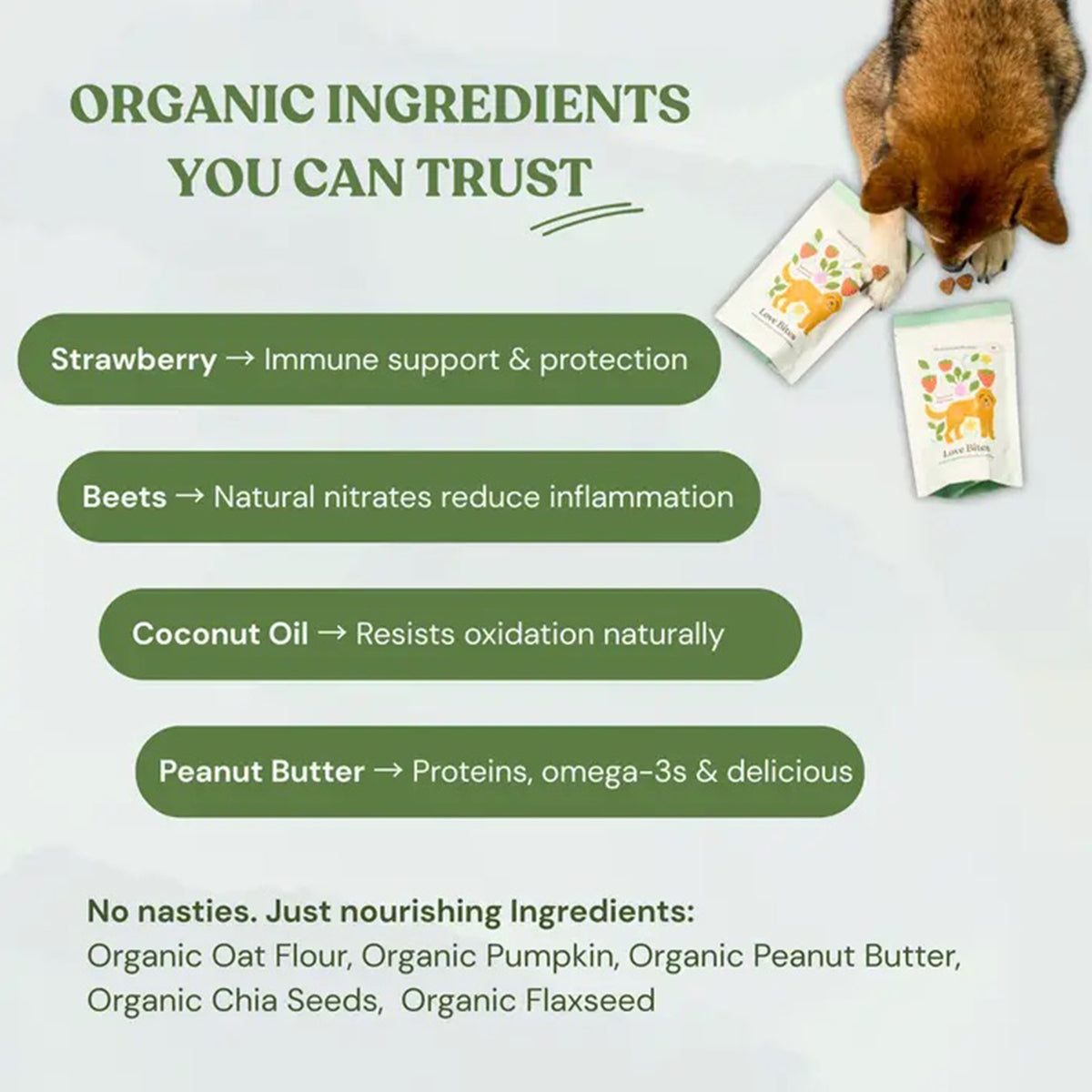 Dog eating from a package with organic ingredients listed on a light gray background