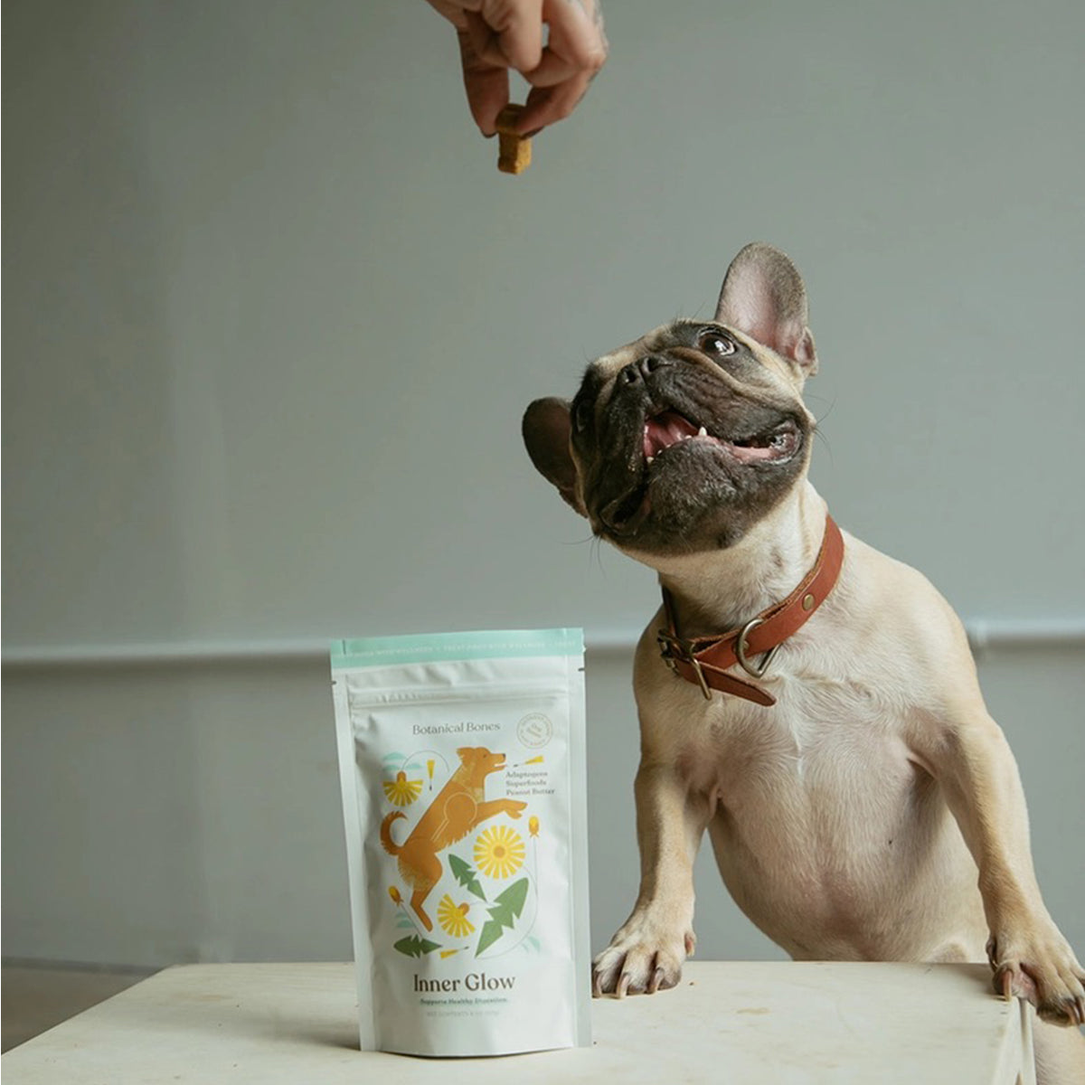 Dog looking up at a hand holding a treat next to a 'Inner Glow' supplement package on a neutral background