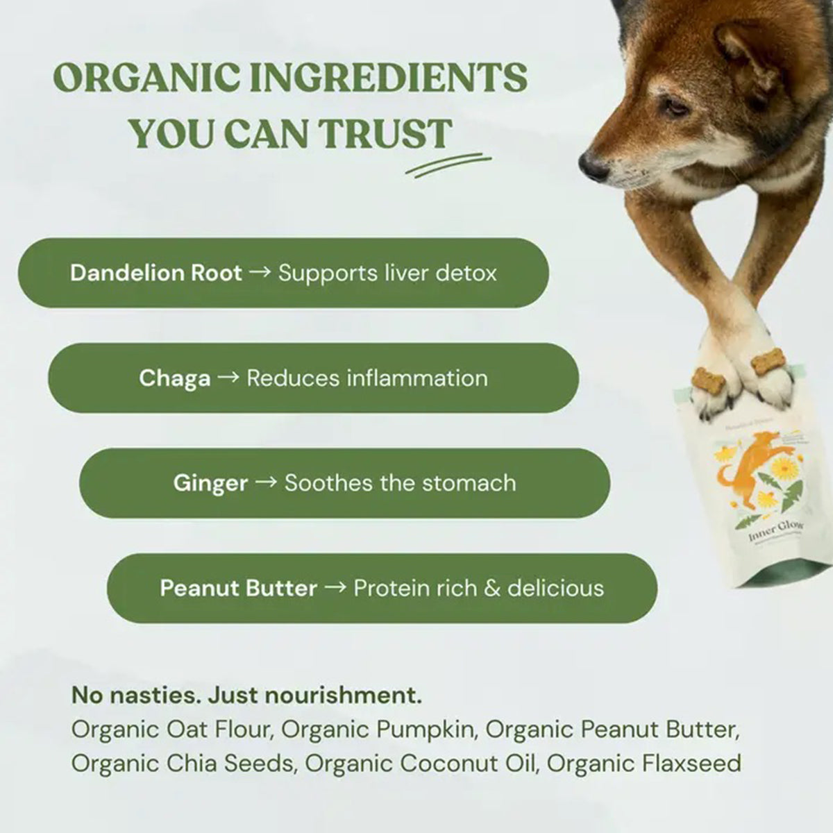 Dog holding a bag with organic ingredients listed on a white background
