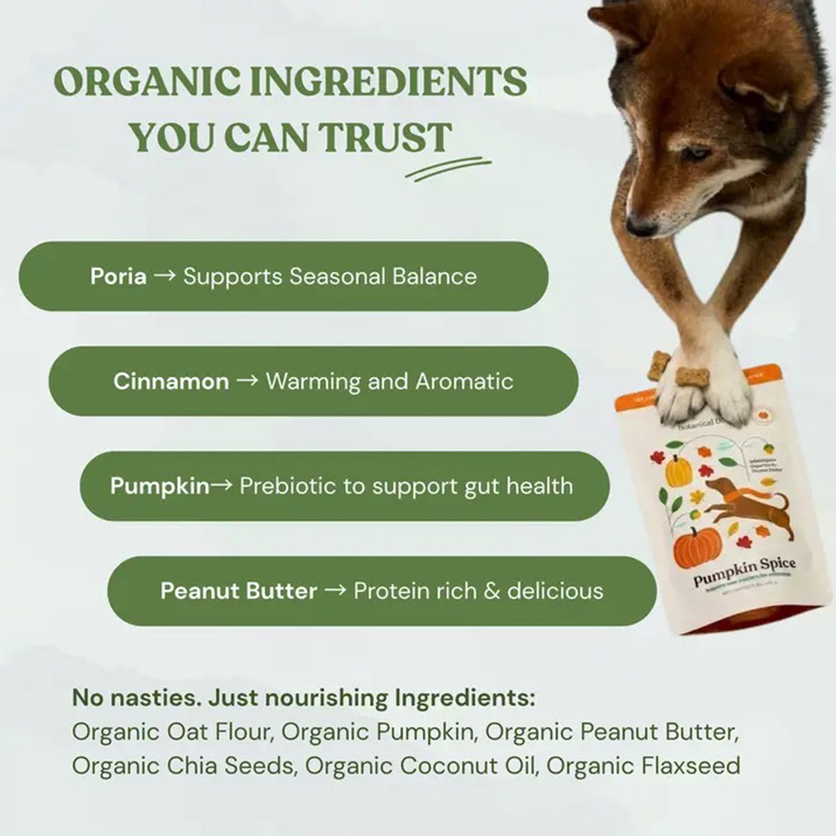 Organic Dog Treats