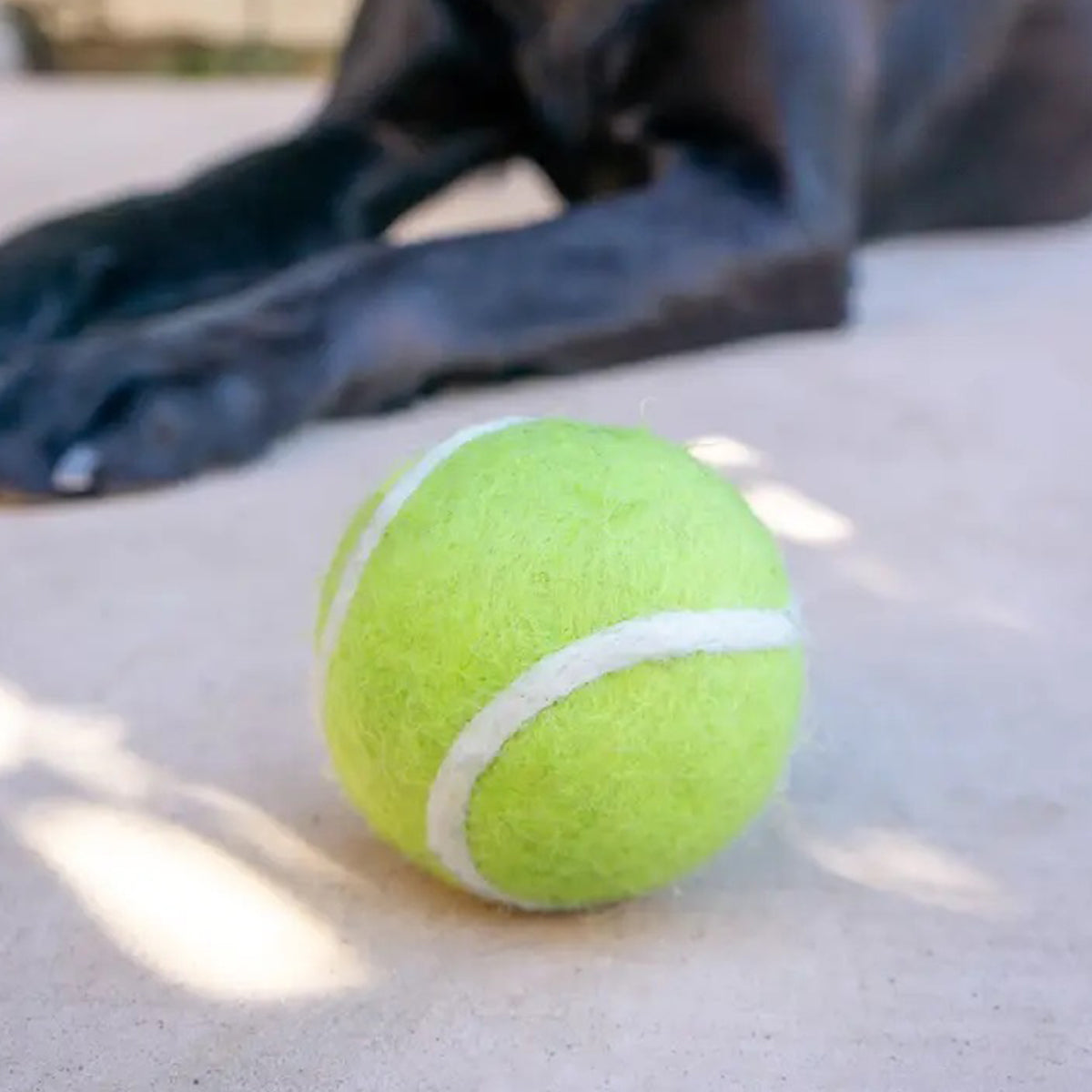 Eco Pup Toy Tennis Balls