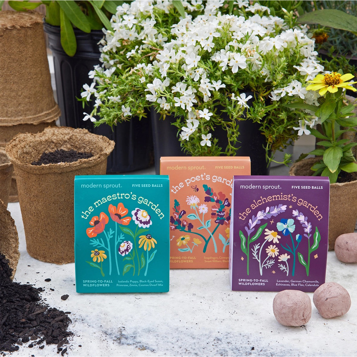 Three seed packet boxes with floral designs on a surface with plants in the background