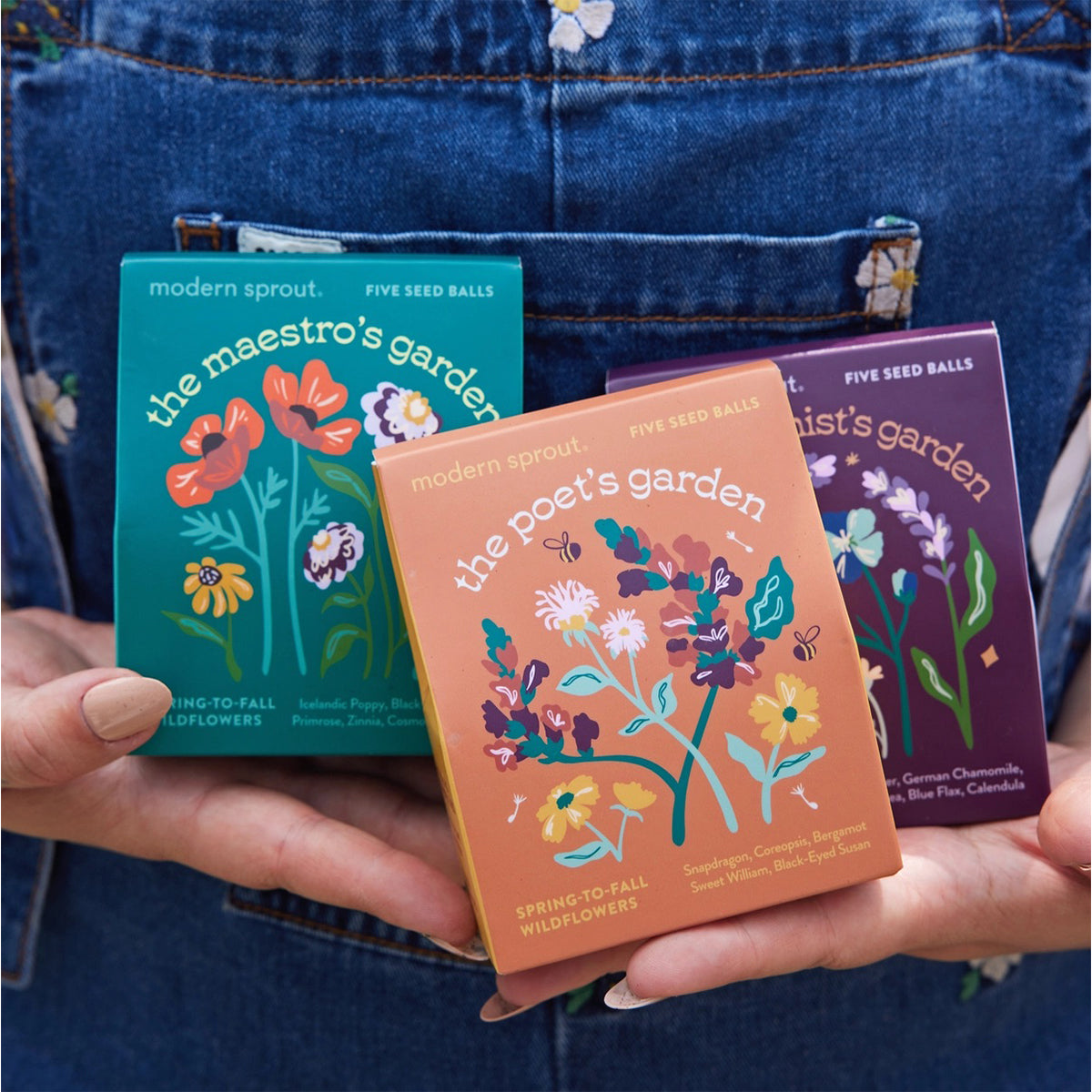 Three colorful seed packet boxes held in front of a person wearing blue jeans.