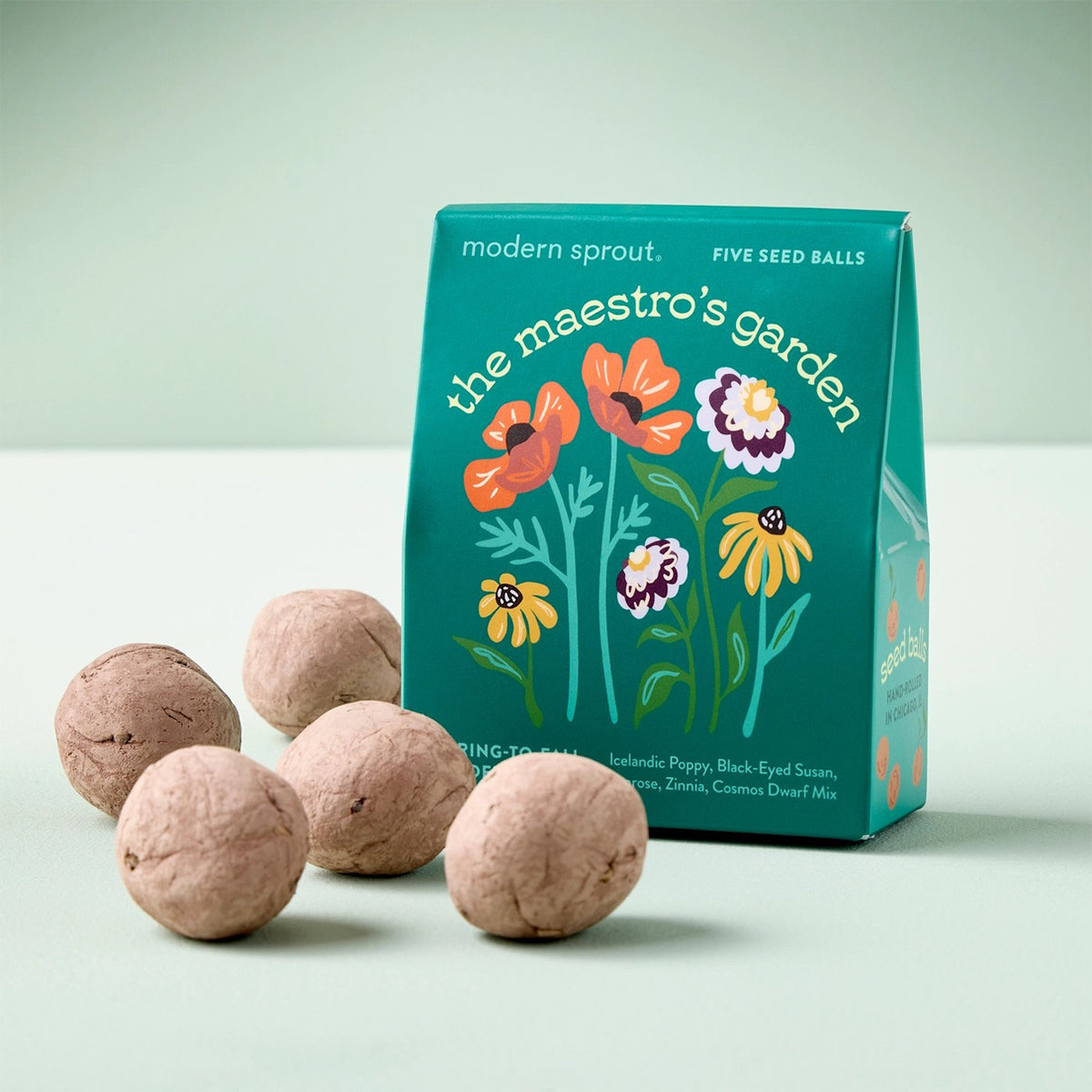Five seed balls in front of a 'the maestro's garden' packaging on a light background