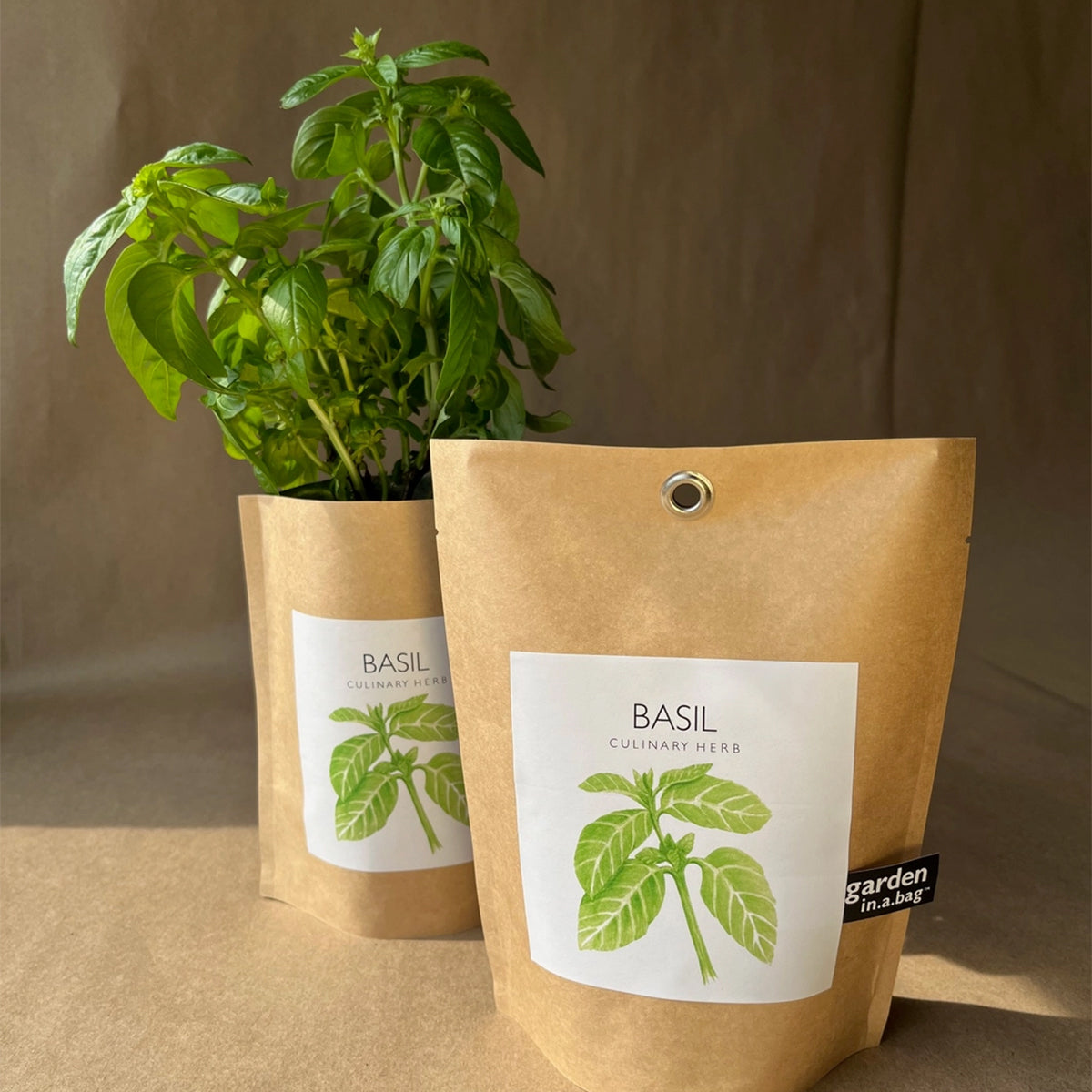 Basil plant in a brown paper bag with a label on a brown background