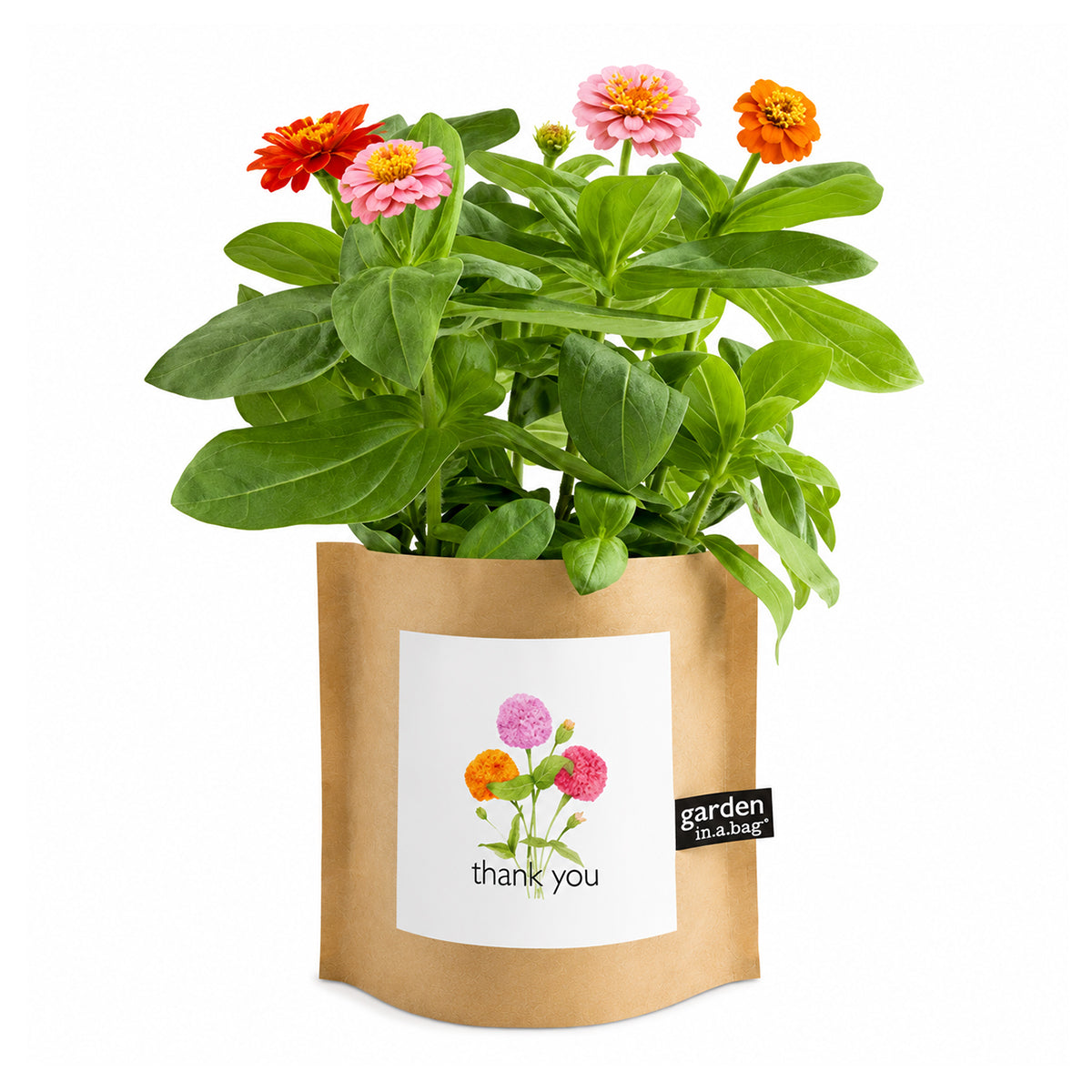 A plant with beautiful pink, orange, and red flowers grows in a brown paper "garden in a bag" pot. The pot features a white label with an illustration of the flowers and the words "thank you"
