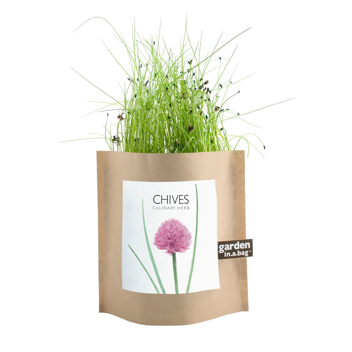 Pouch of chives growing in a compostable paper bag.