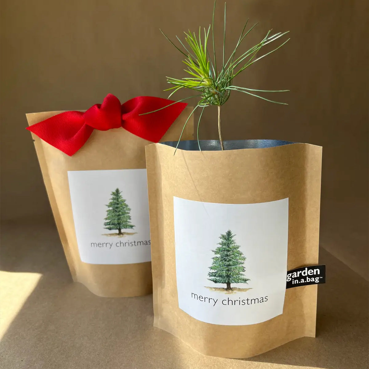 Two paper bags with Christmas trees, one tied with a red ribbon, on a brown background.
