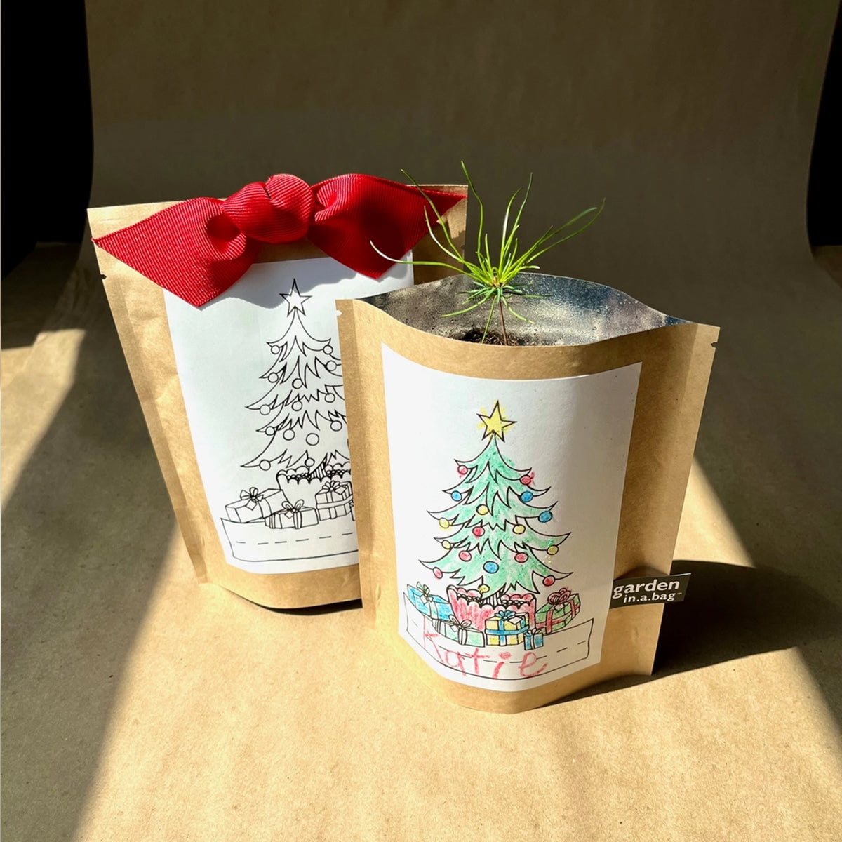 Two Christmas-themed "garden in a bag" kits. The kit on the left is still a gift with a red bow and a coloring page of a tree, while the kit on the right has been colored and now holds a newly-sprouted evergreen sapling.