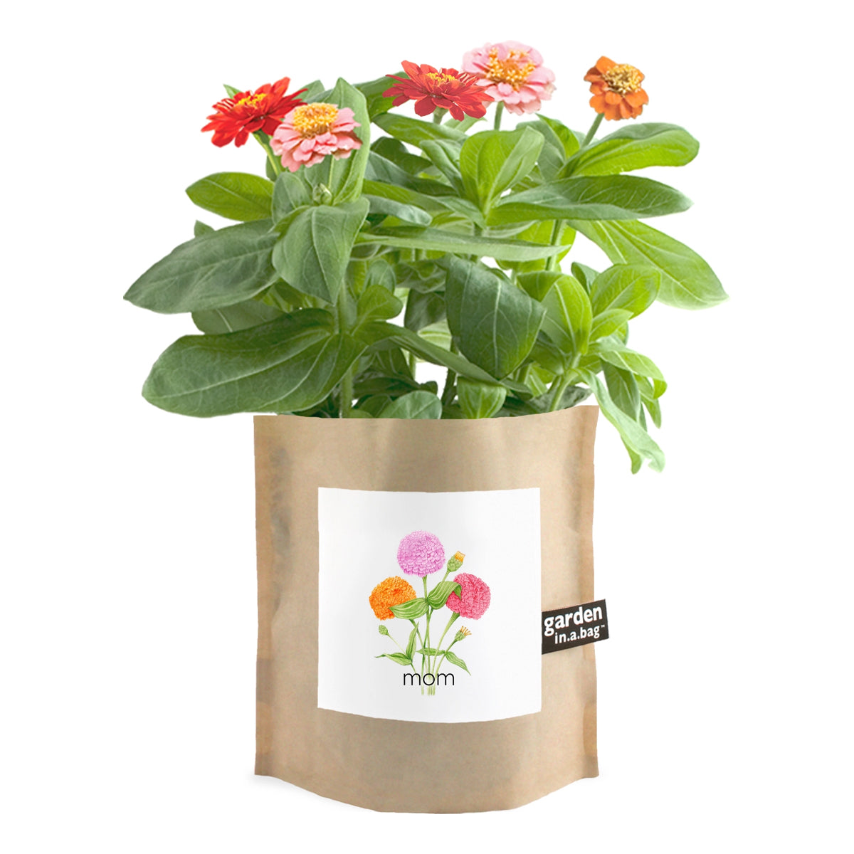 Garden in a Bag