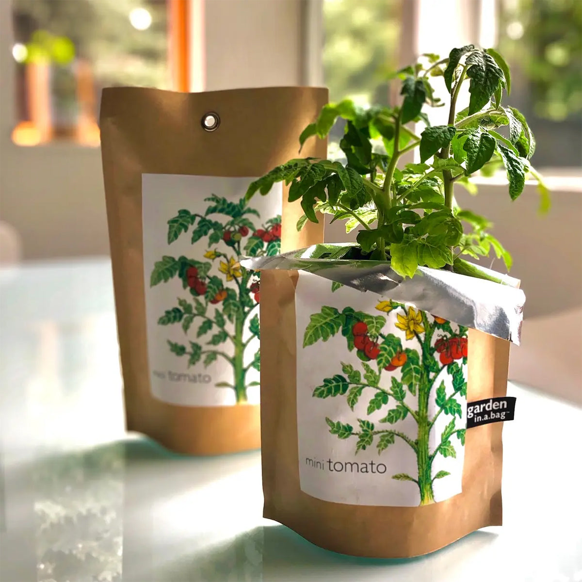 A lush "mini tomato" plant grows in a brown paper "garden in a bag" pot, with a matching pouch in the background. Both items feature a label with a botanical illustration of a tomato plant and are ready to provide a fresh, homegrown treat.