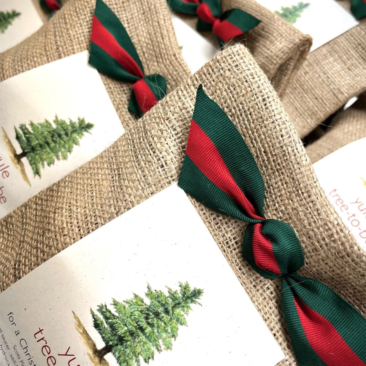A close-up view of a collection of "yule tree to be" kits shows a repeating pattern of burlap sacks tied with red and green striped ribbons.