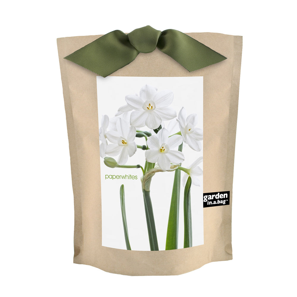 Garden in a Bag
