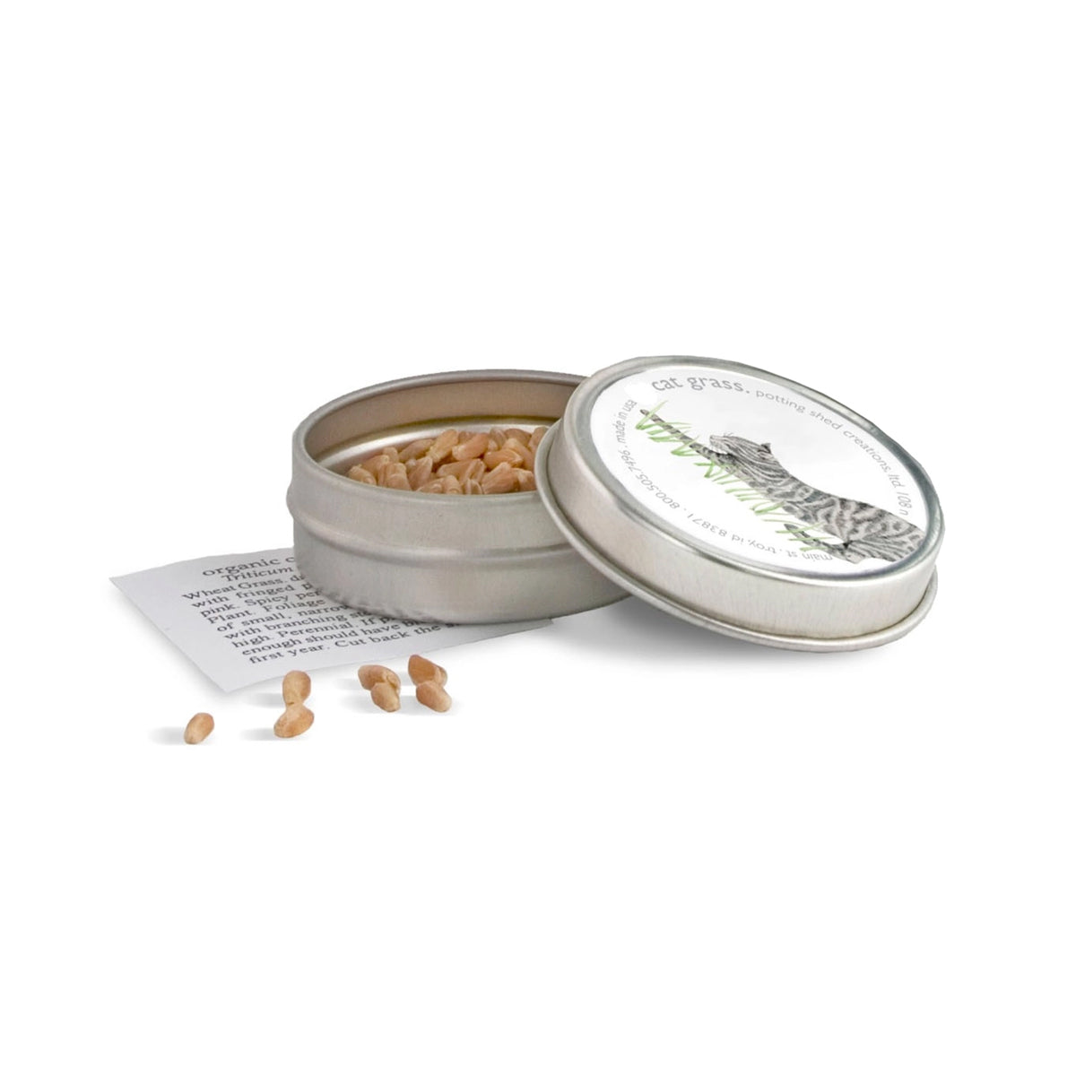 Small open tin with cat grass seeds and a label on a white background