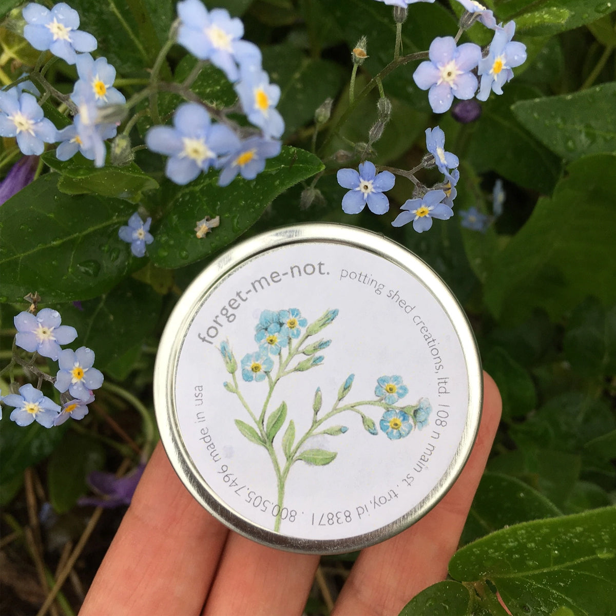 Hand holding a tin labeled 'forget-me-not' among blue flowers.