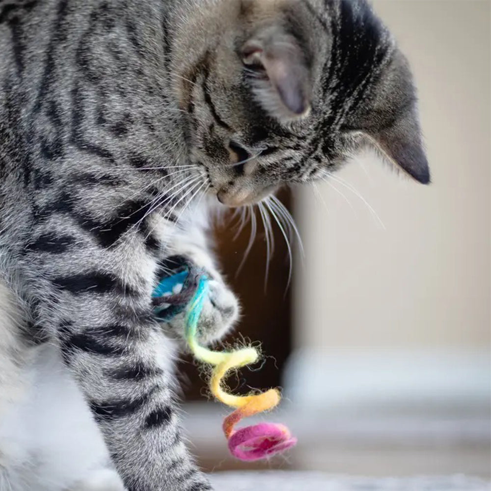Cat playing with a colorful toy on a blurred background