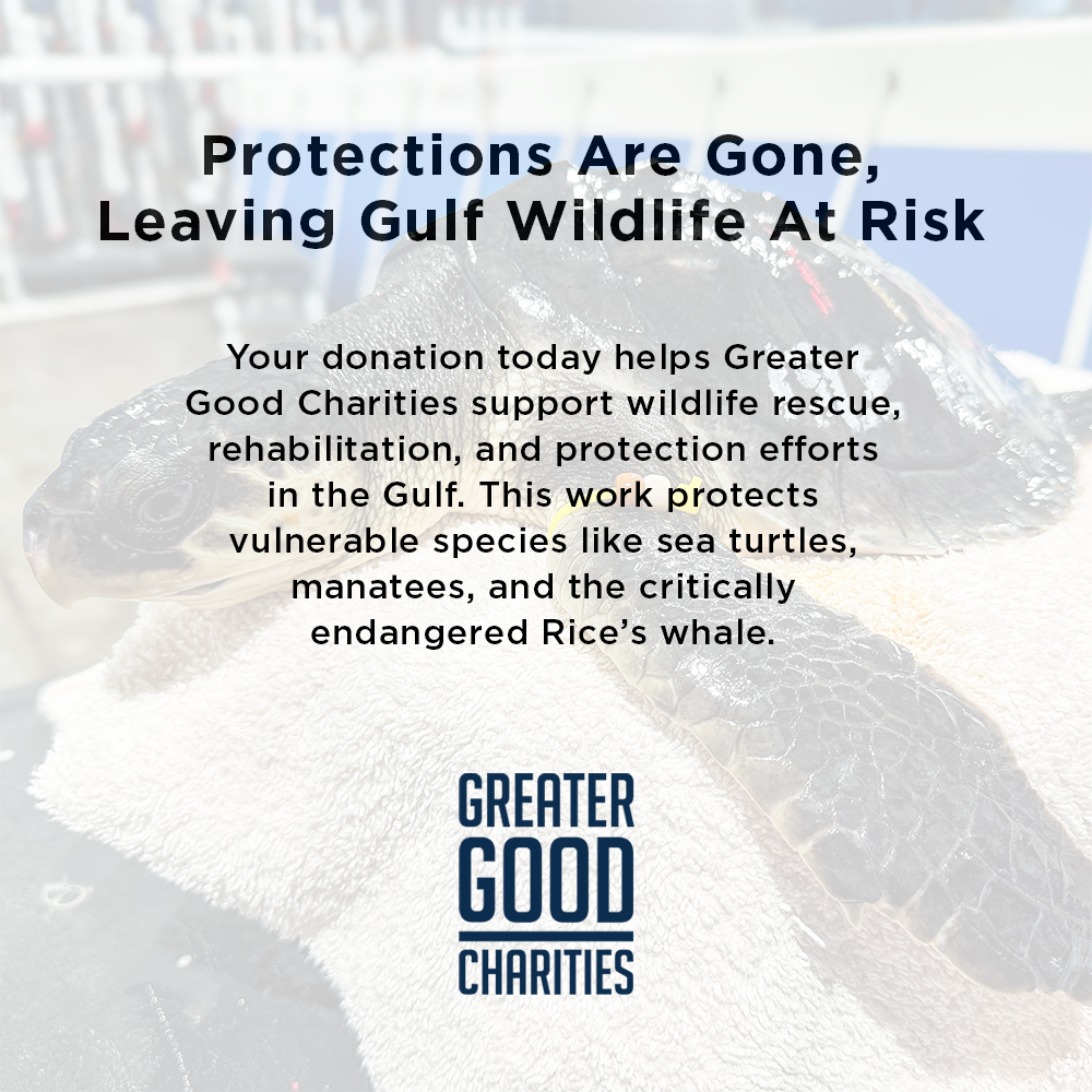 Federal Protections Gutted - Critically Endangered Species At Risk