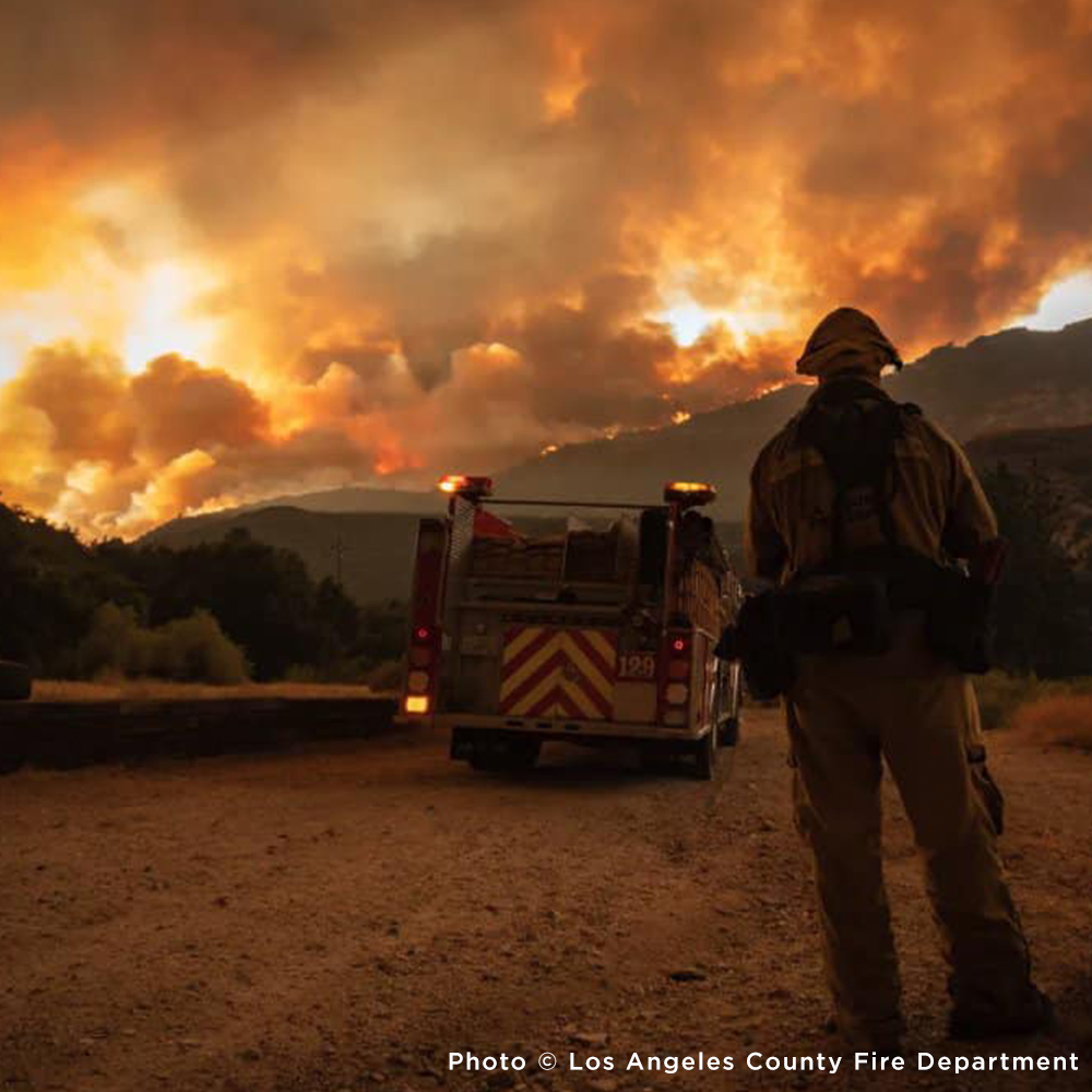 Crisis in California: Rush Aid to People & Pets Devastated by Wildfires