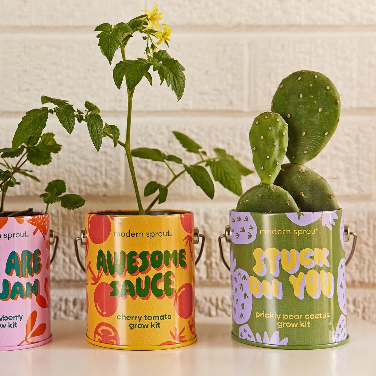 Organic Grow Tins