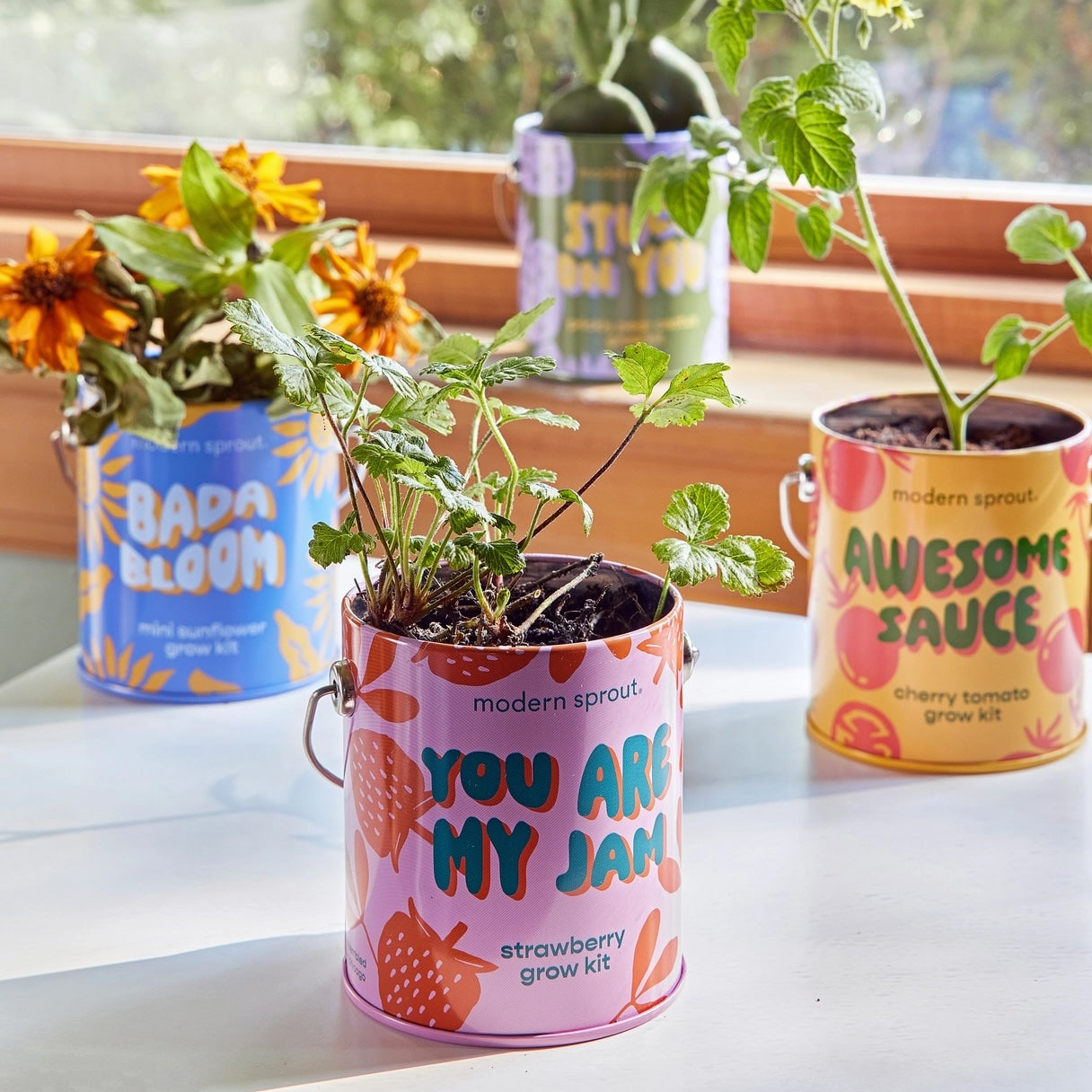 Organic Grow Tins