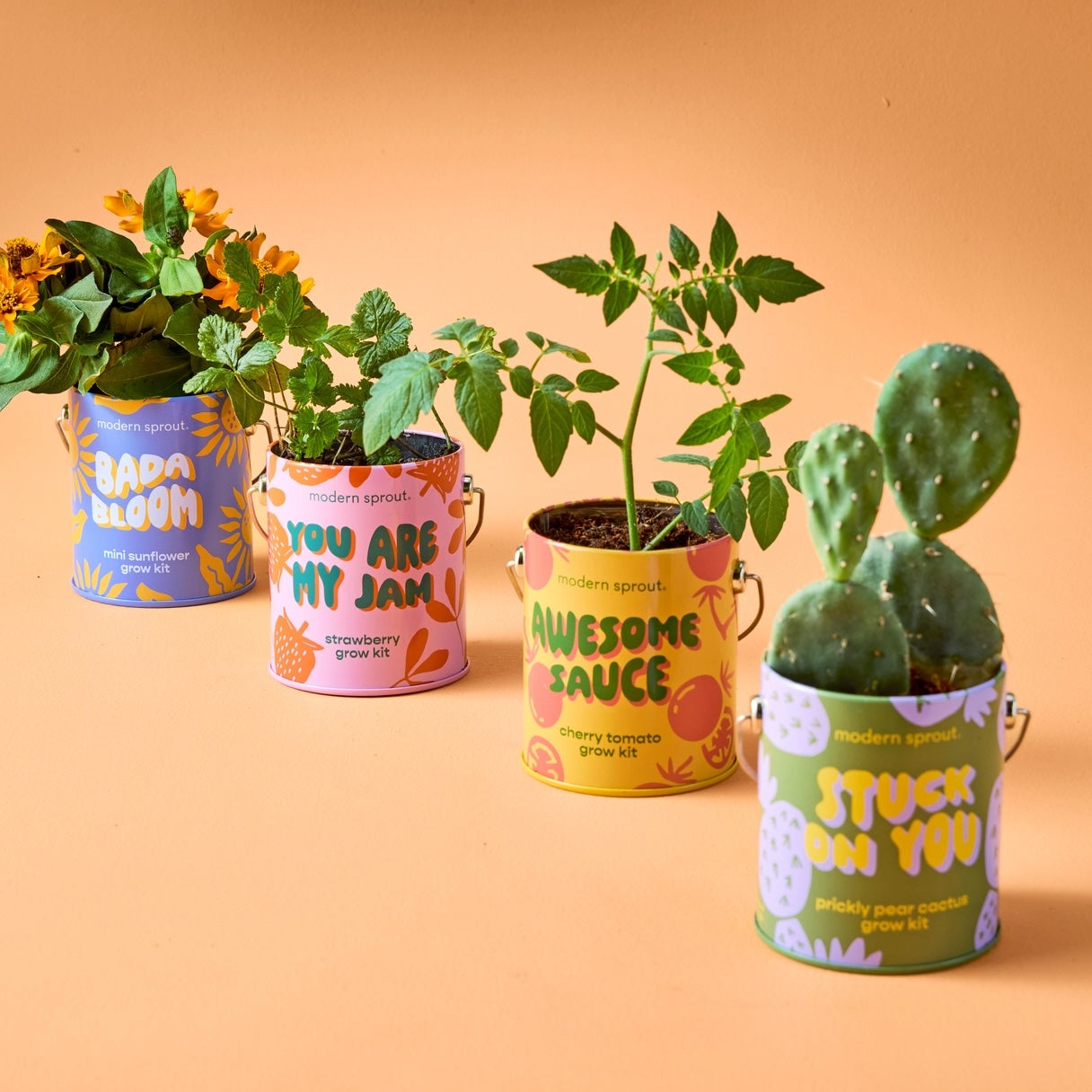 Organic Grow Tins