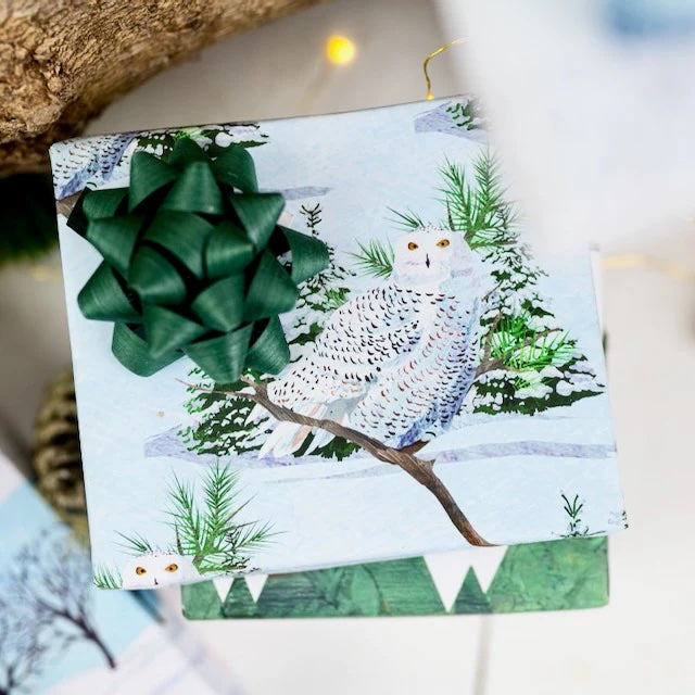 Eco-Friendly Wrapping Paper - Reversible