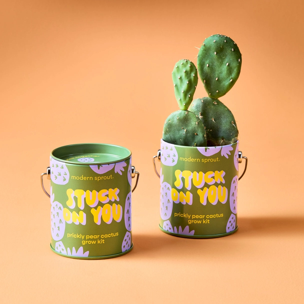 Organic Grow Tins
