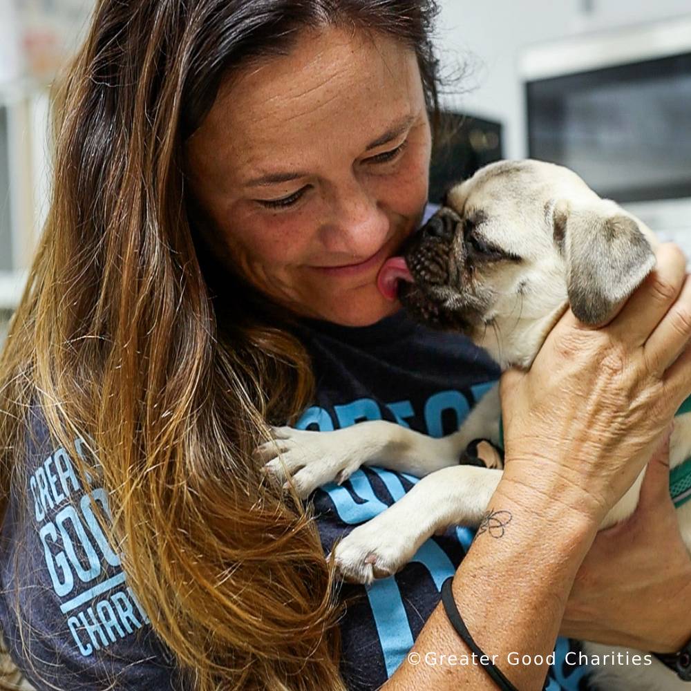 Crisis in California: Rush Aid to People & Pets Devastated by Wildfires