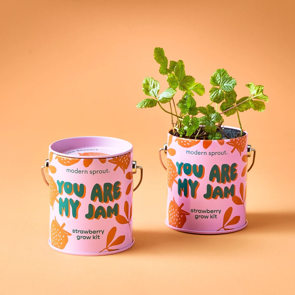 Organic Grow Tins