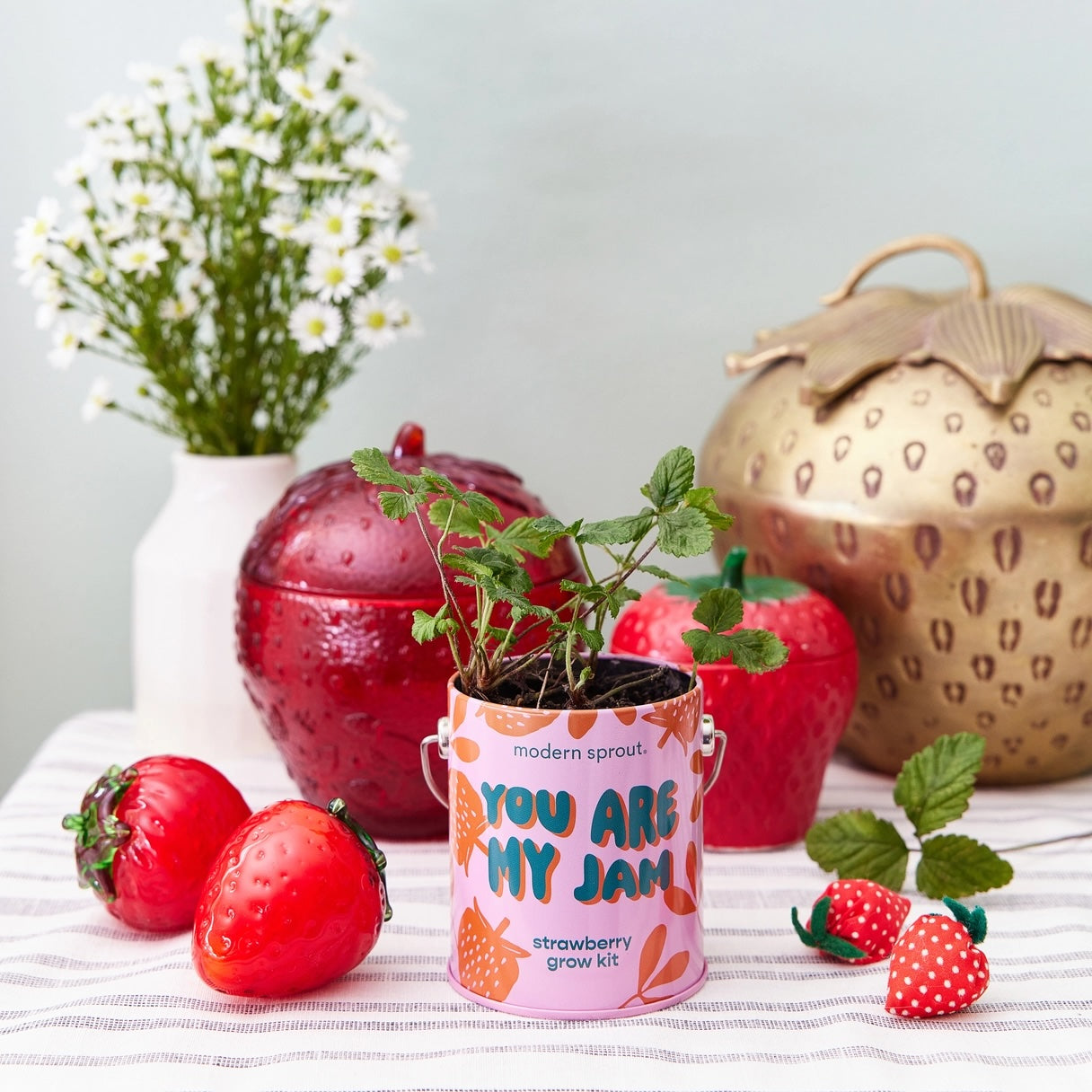 Organic Grow Tins