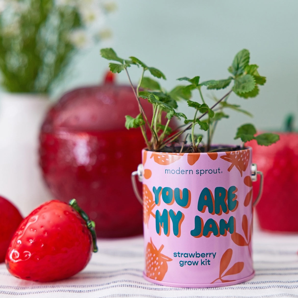 Organic Grow Tins