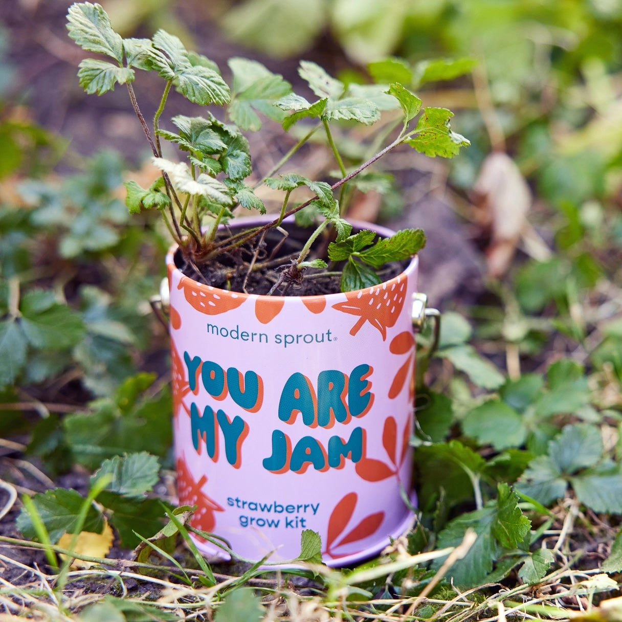 Organic Grow Tins